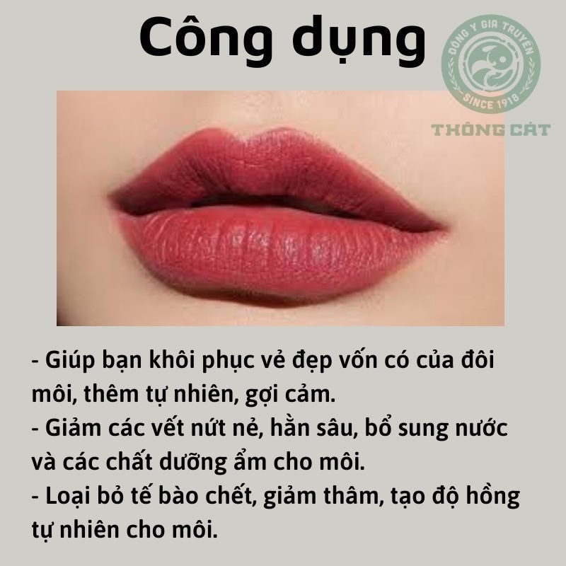 Son dưỡng môi không màu thảo mộc hữu cơ_Dưỡng ẩm hồng môi, hết nẻ môi, khô môi, mềm mịn Đông y gia truyền Thông Cát