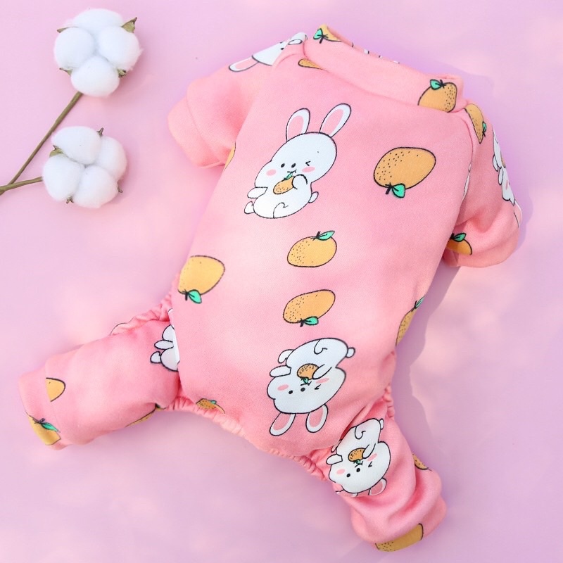 Áo nỉ 4 chân mầu sắc bắt mắt xinh xắn cho thú cưng