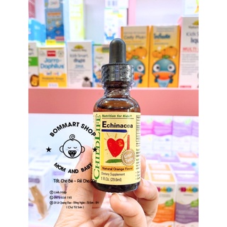 tăng đề kháng echinacea childlife cho bé