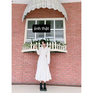 [ORDER] Đầm công sở sơ mi chic thắt eo đuôi cá sang trọng
