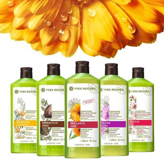 [CHUYÊN GIÁ SỈ] Dầu Gội Yves Rocher Pháp Đủ Loại