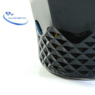Bình ngâm rượu 8833 10L