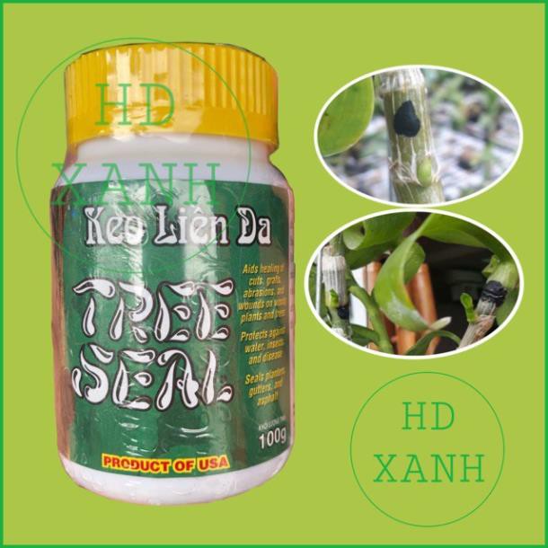 [USA] Keo Liền Sẹo _ Keo Liền Da TREESEAL 100G, Bảo Vệ Vết Cắt Ngay Sau 10s