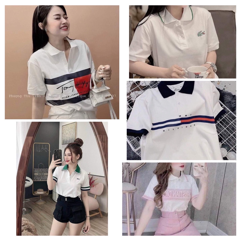ÁO POLO TRẮNG PHỐI CÁC MÀU