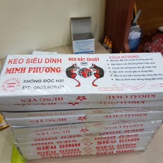Bẫy Dính chuột keo Minh Phương chỉ 8K