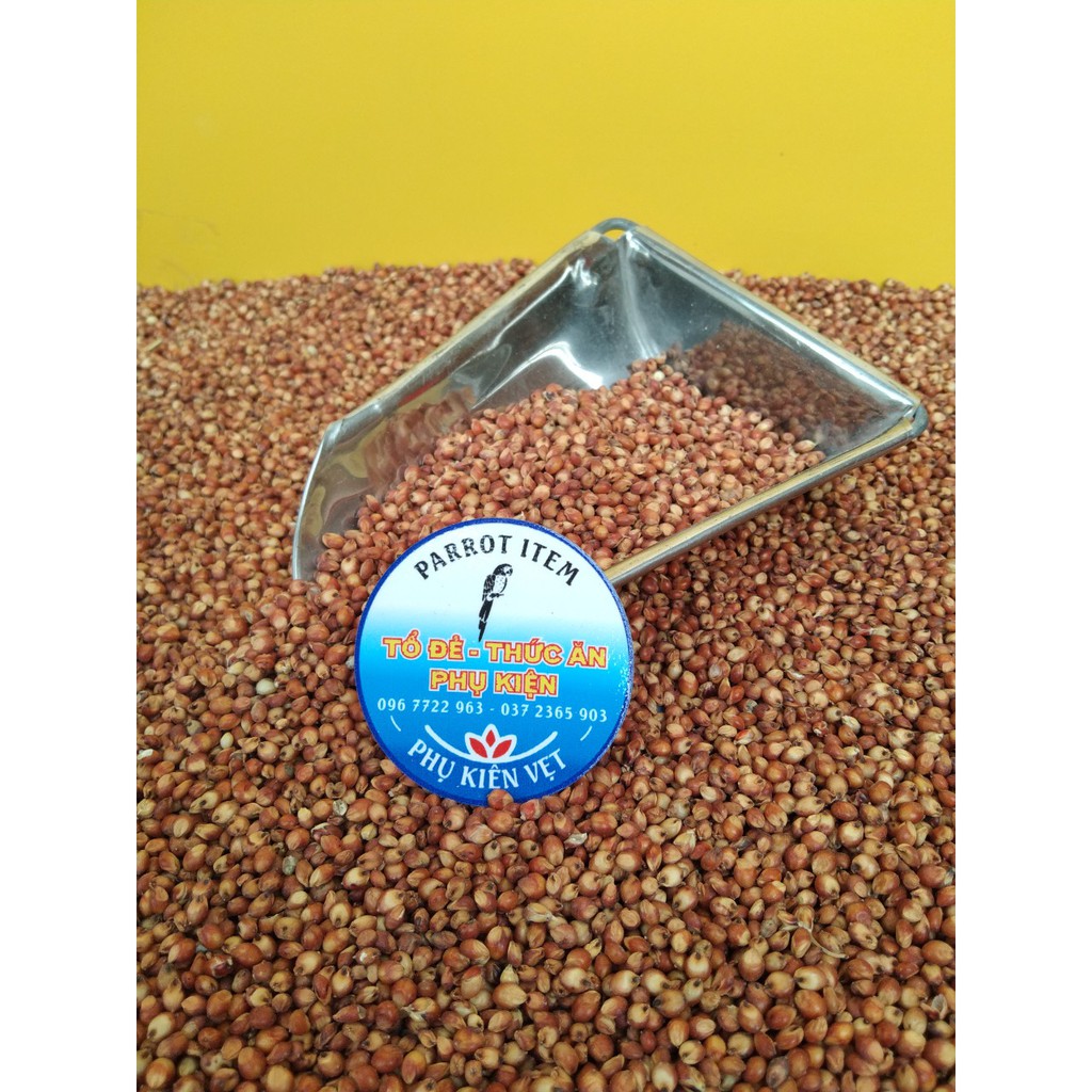 500GRAM CAO LƯƠNG ĐỎ (BO BO ĐỎ) CHO CHIM,VẸT