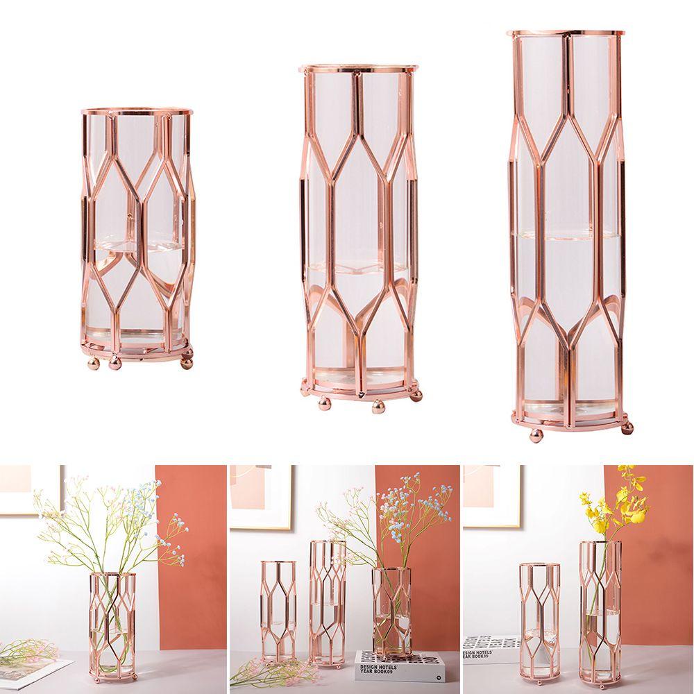 Chậu Hoa Thủy Canh Trang Trí Phòng Khách Phong Cách Bắc Âu