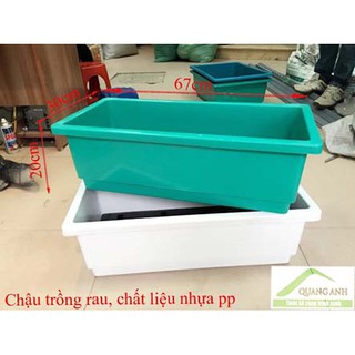 KHAY NHỰA TRỒNG RAU LOẠI NHỎ 480X200X160