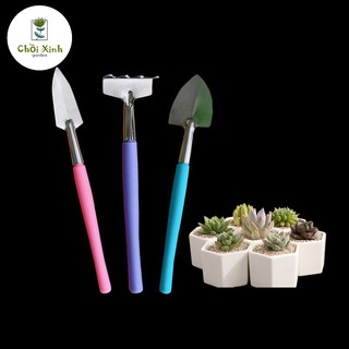 Bộ dụng cụ làm vườn inox 3 món mini - dụng cụ trồng xương rồng - sen đá