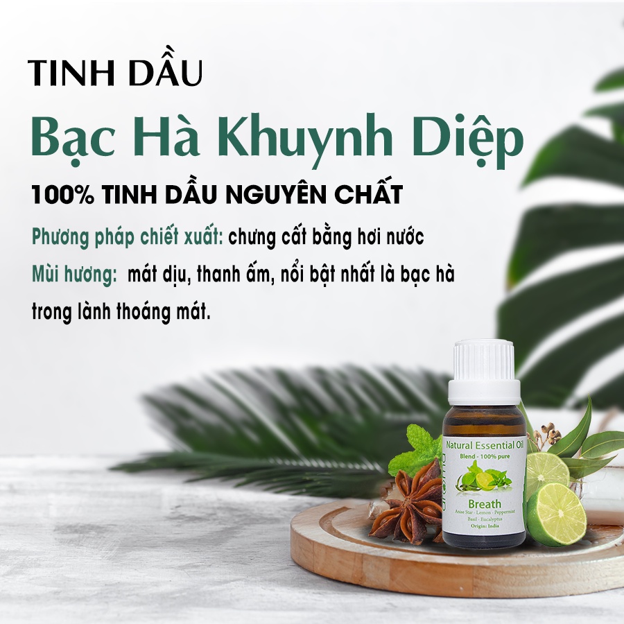 Tinh Dầu Xông Thiên Nhiên Aroma Breath 100ml