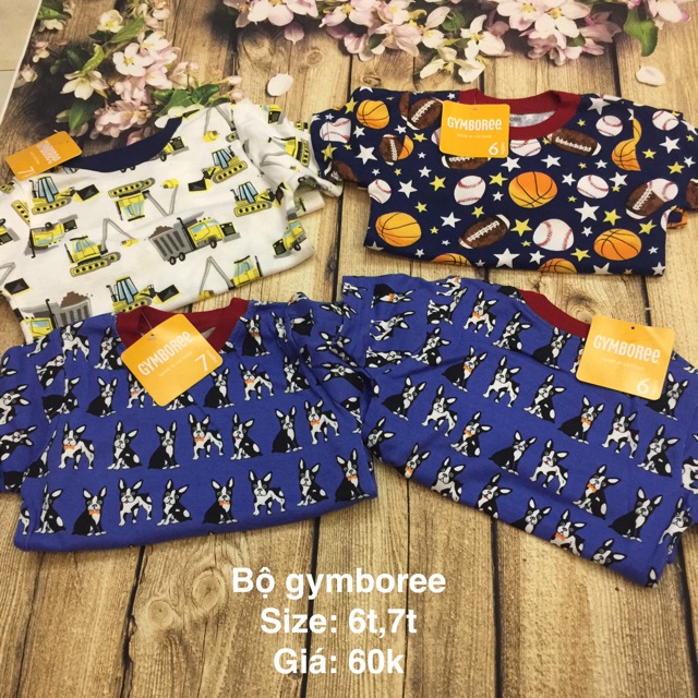 Bộ gymboree bé trai