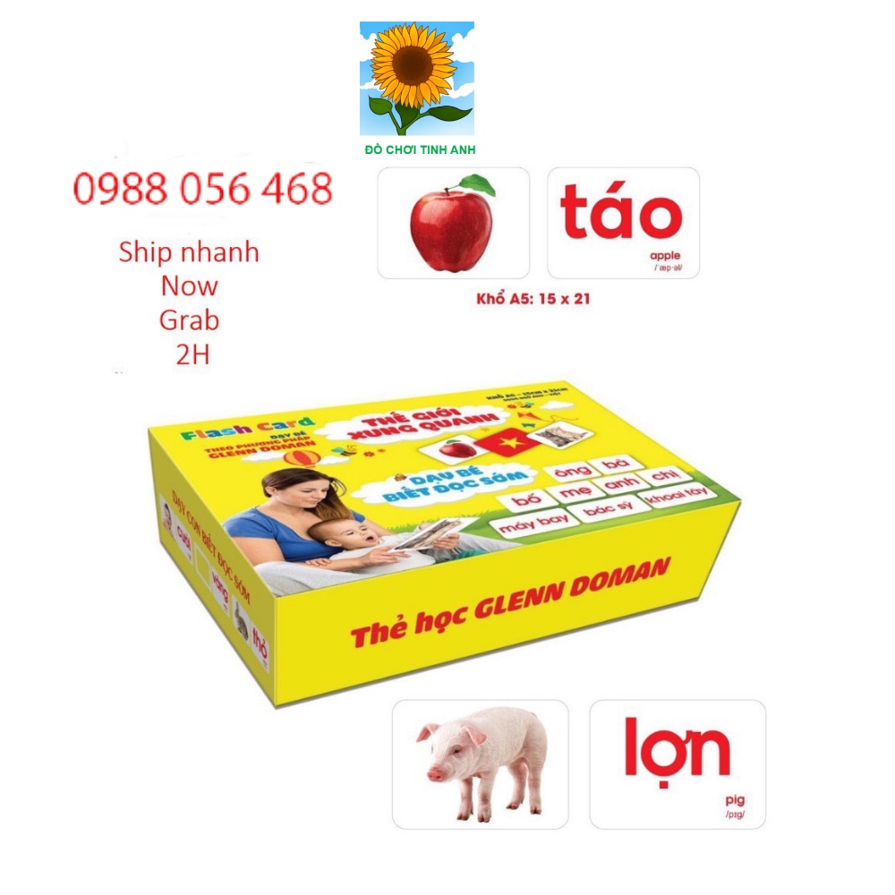 Thẻ học thông minh loại to A5 15x21cm dạy trẻ thế giới xung quanh