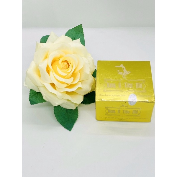 (CHÍNH HÃNG) Kem ủ tan mỡ Gia Hân, giảm mỡ bụng sau sinh, bắp đùi, bắp tay, bắp chân. | BigBuy360 - bigbuy360.vn