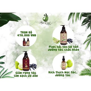 Bộ dầu gội + xả mộc