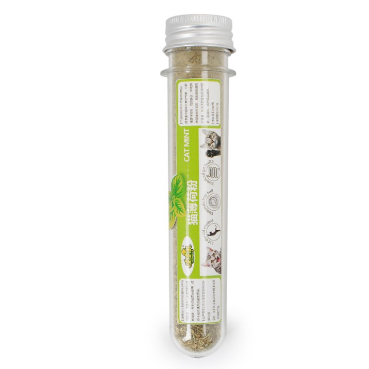 CỎ MÈO BẠC HÀ CATNIP