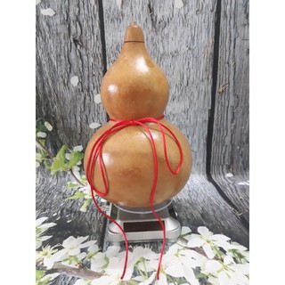 Bầu hồ lô cầu con cái - phong thủy