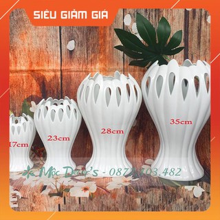 Lọ tay phật lọ hoa tay phật