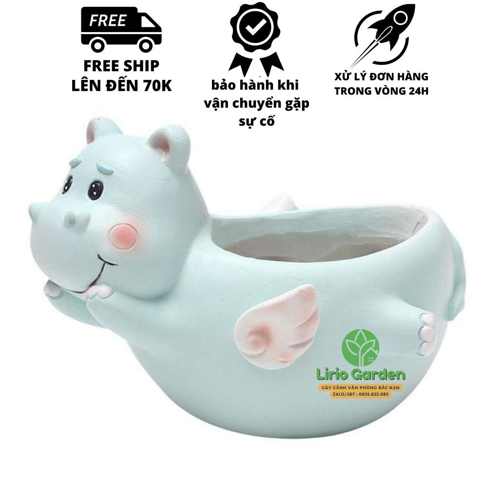 [ Quà Tặng Kèm ] chậu cây hà mã có cánh