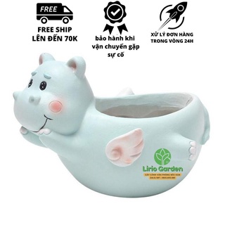 Chậu cây hà mã có cánh