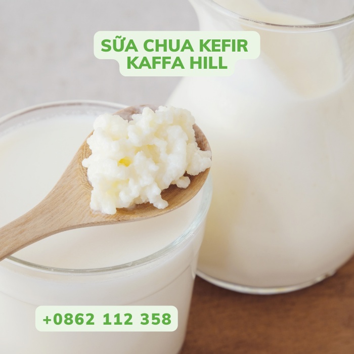 Sữa chua Kefir - Chai 500ml - Giảm cân - Giàu dinh dưỡng - ngừa loãng xương - Shopee Kaffa Hill