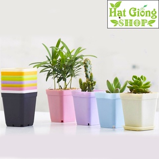 Chậu nhựa mini vuông