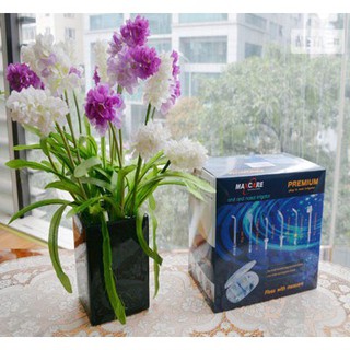 Máy tăm nước Maxcare