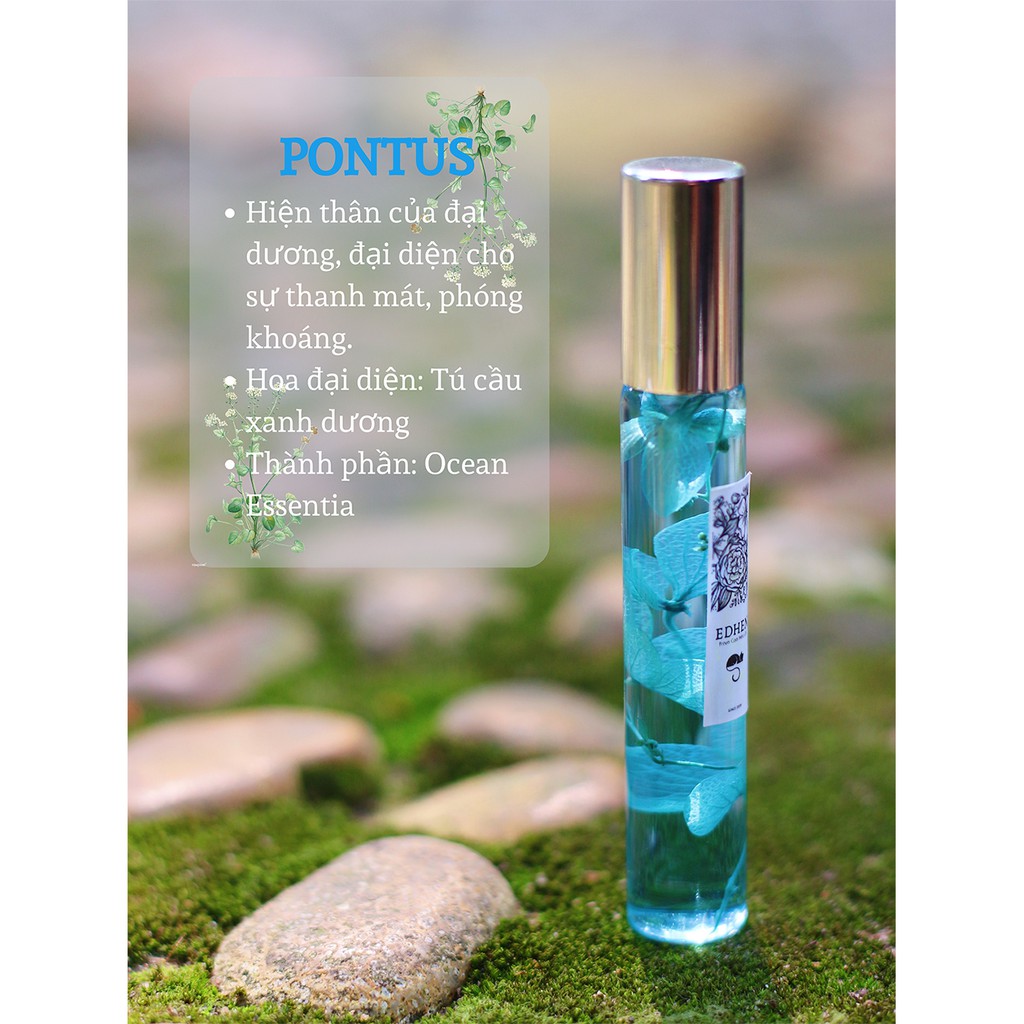 PONTUS - Nước hoa handmade Hoa khô kết hợp Tinh dầu thiên nhiên (Hình thật)