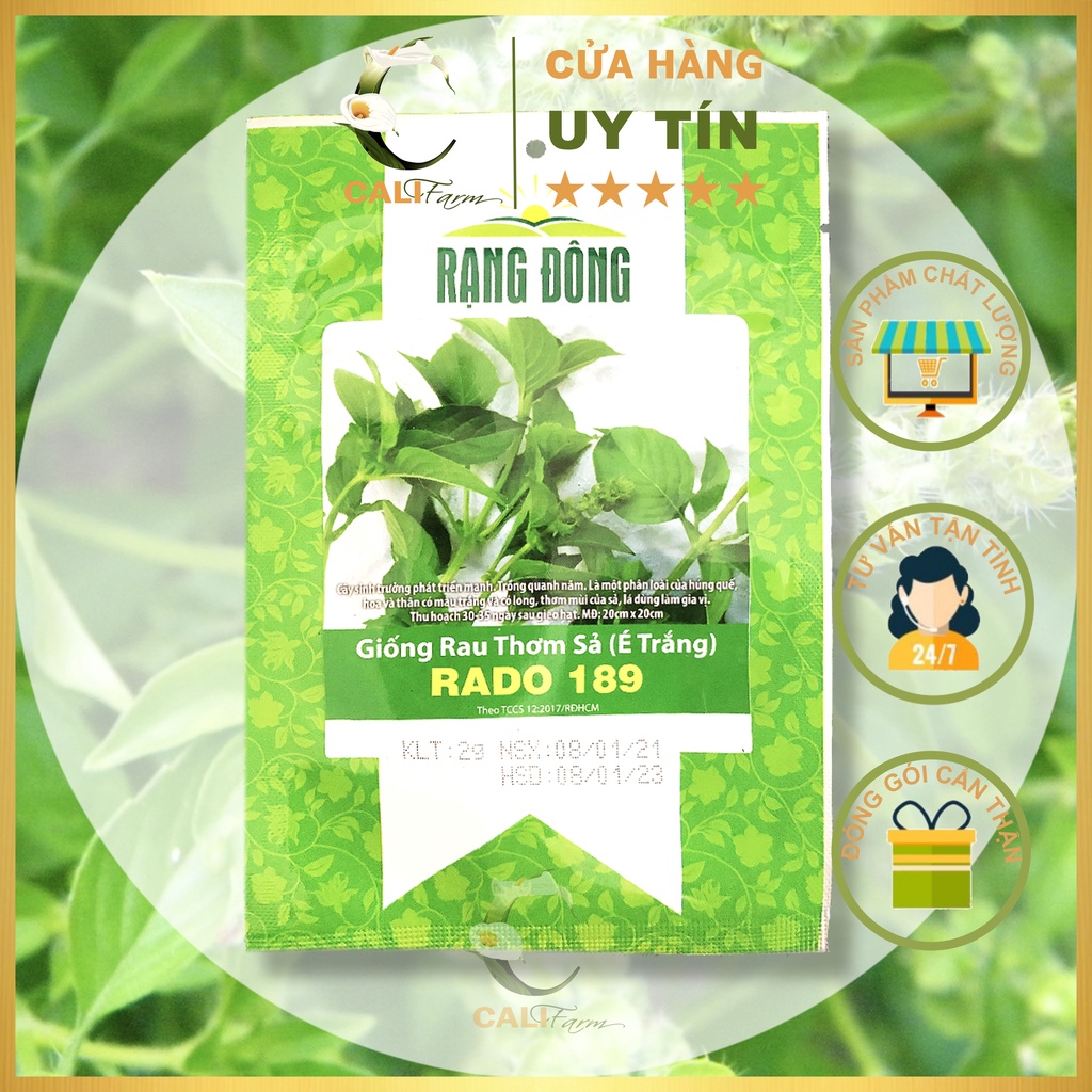 Hạt giống Rau Thơm Sả (É Trắng) Rado 189 (2gr)