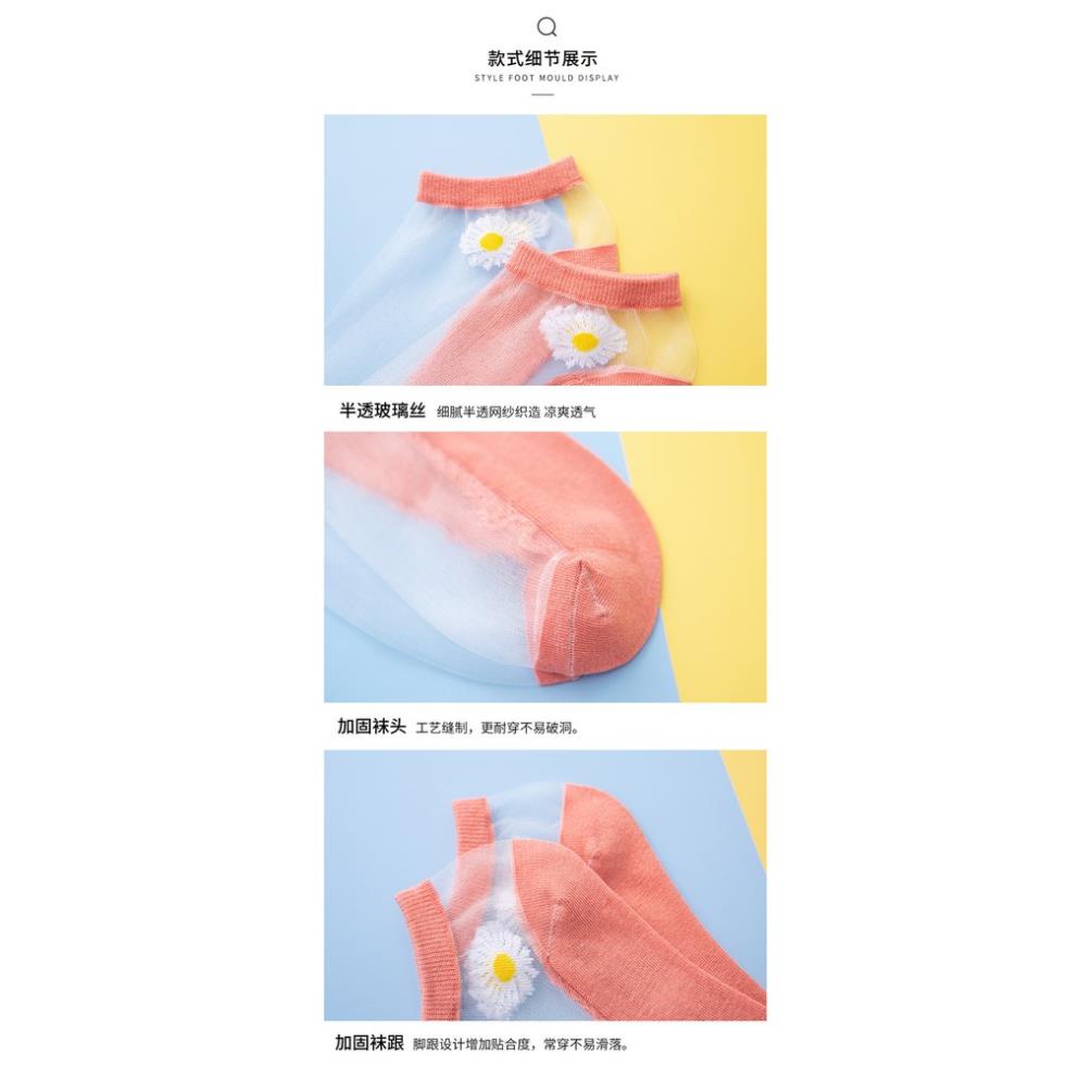 10 đôi Tất Lưới Xuyên Thấu Thiết Kế Hình Hoa Cúc Cho Nữ