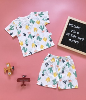 Cotton giấy - Cotton tre