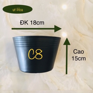 Phương pháp trồng 100 loài hoa trong chậu