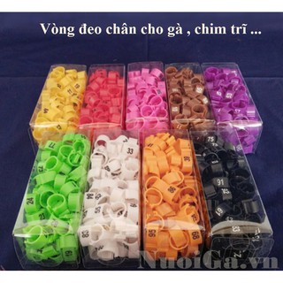 100  Vòng Đeo Chân Gà