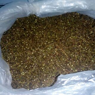 Hạt mắc kén (100g)