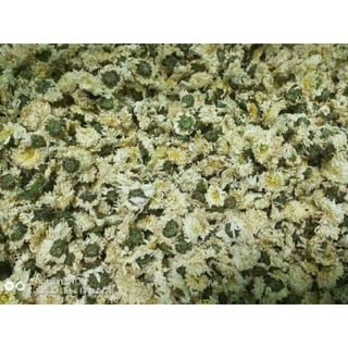 TRÀ BẠCH CÚC TRỊ HUYẾT ÁP CAO 100Gr