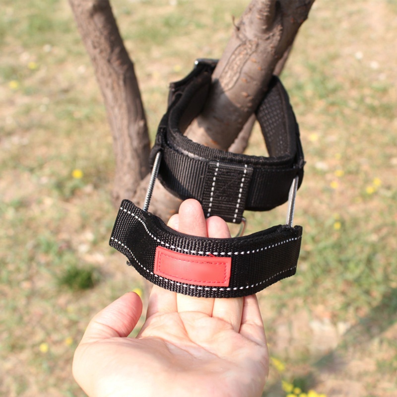 Vòng Cổ Nylon Đệm Mềm Thoáng Khí Có Thể Điều Chỉnh 5 Màu Dành Cho Thú Cưng Cỡ Nhỏ / Vừa / Lớn