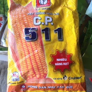 Hạt giống Ngô Lai Bắp Lai CP 511