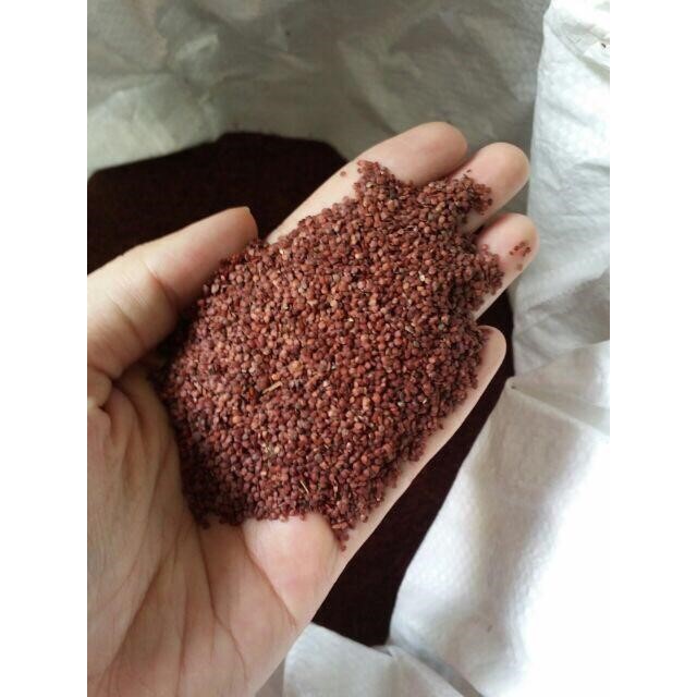 Hạt Ngũ hoa (Hạt Lịch)_ 100gr