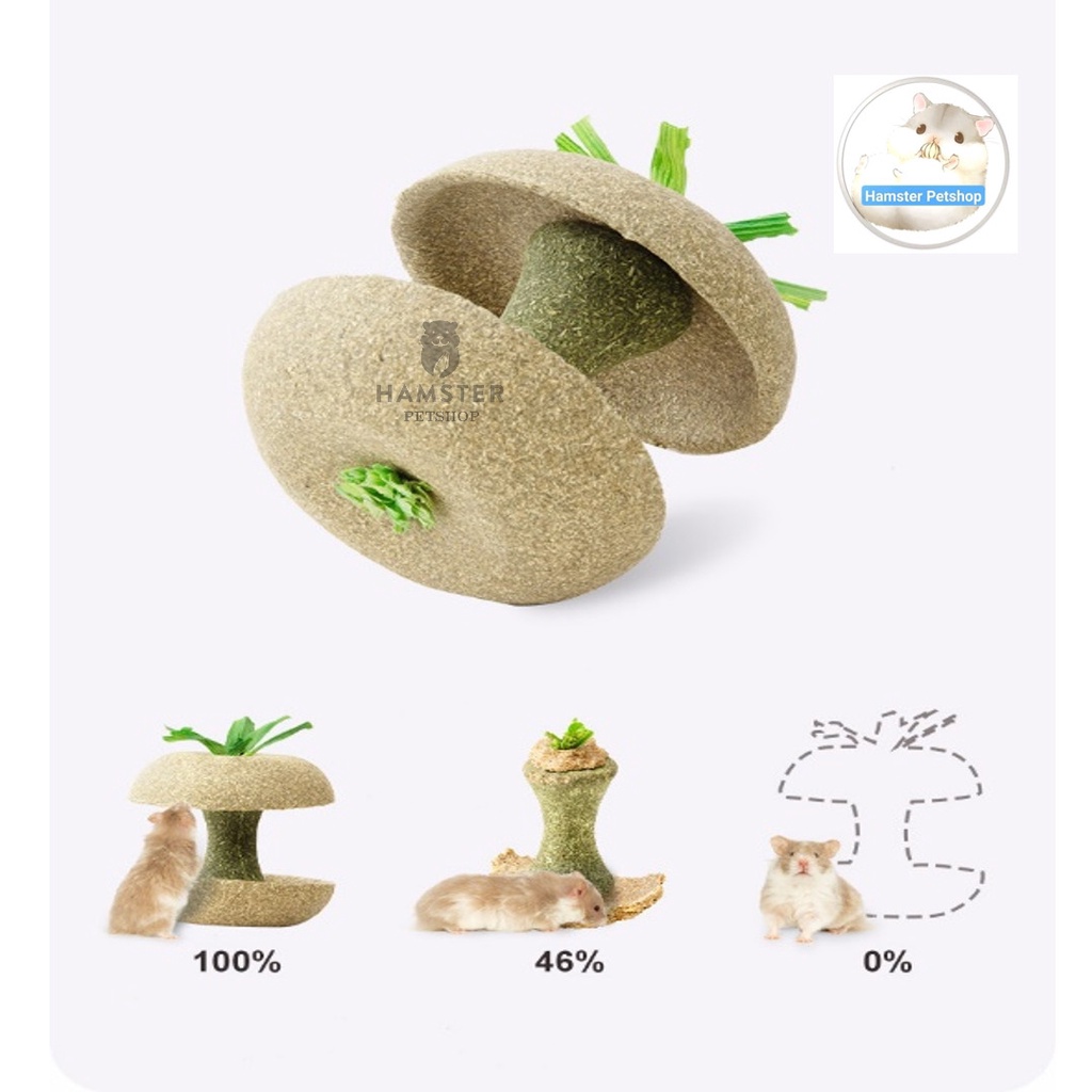 Bát ăn quả táo gặm dở Carno mài răng cho hamster , sóc , nhím