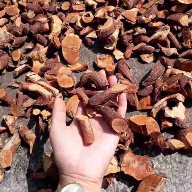 GÓI 1KG Rễ Cây Mú Từn _ Cù Boong Nậu Khô Hàng Chuẩn Sạch - Tây Sơn Food