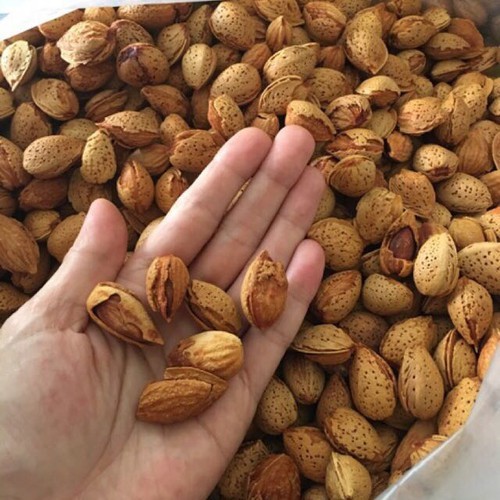 1Kg hạnh nhân rang còn vỏ rang bơ thơm ngon