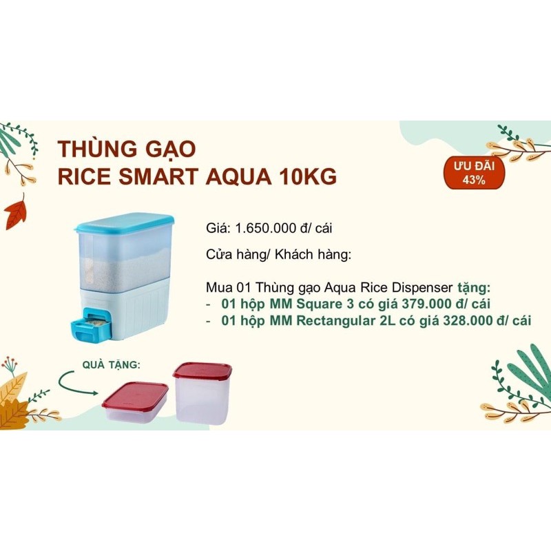 Thùng gạo thông minh Rice smart aqua xanh 10kg Tupperware | BigBuy360 - bigbuy360.vn