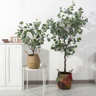 Cây bạch đàn trang trí cao 130cm - LC3050
