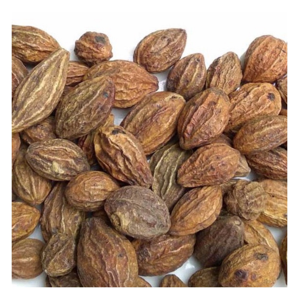 Quả Kha Tử hỗ trợ giảm ho, mất tiếng, đổ mồ hôi trộm, đau họng | BigBuy360 - bigbuy360.vn