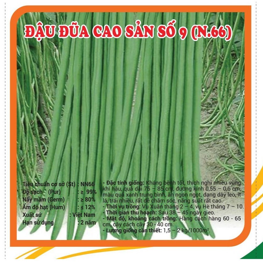 Gói 500gr / 1KG Hạt giống Đậu Đũa số 9_Đỗ leo xanh dài giòn ngọt siêu quả