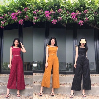 sét bộ chấm bi