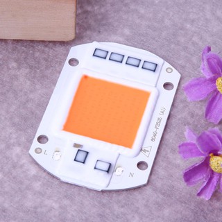Đèn Led Cob 50w 220v