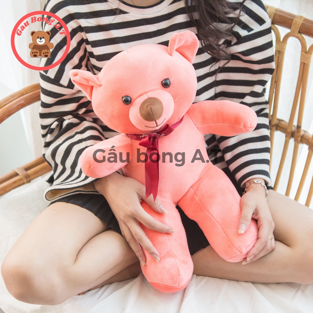 [HOT] Gấu Bông Teddy - Thú Nhồi Bông Teddy Màu Nâu, Hồng size 40cm