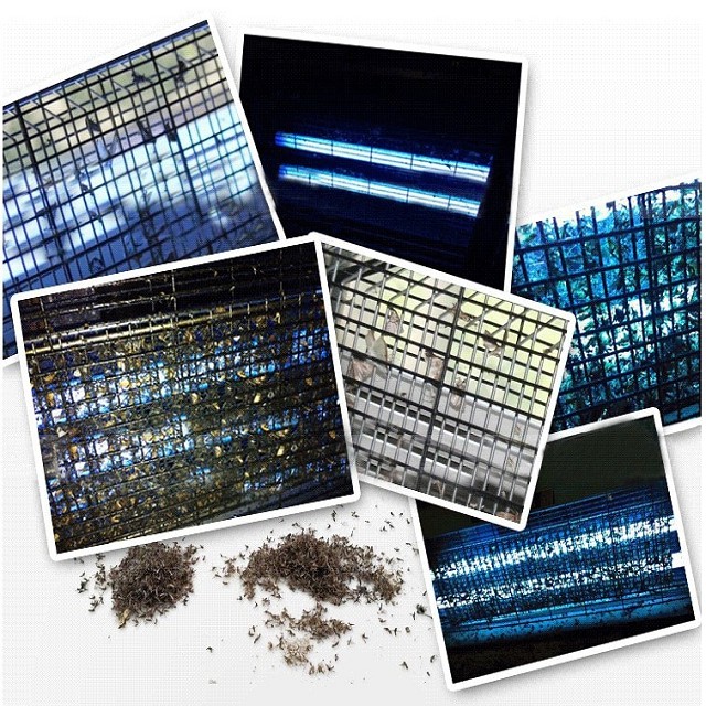 Đèn Bắt Muỗi Thông Minh Diệt 30 Loại Côn Trùng Mới Nhất 2023 Máy Bắt Muỗi Trong Nhà Ngoài Trời Bằng Tia UVA BH 1 Năm