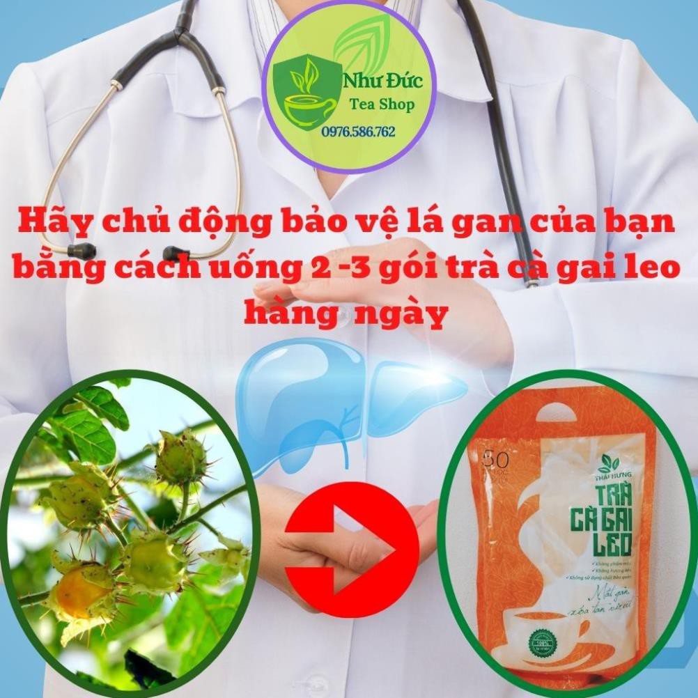 Trà Cà Gai Leo THÁI HƯNG Bịch 50 Túi Lọc 250g Thanh Nhiệt Giải Độc Mát Gan 100% Tự Nhiên