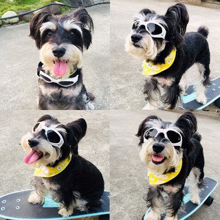 🐶👓 kính mắt thời trang thú cưng chó mèo 🐶👓